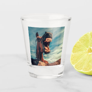 Verre A Shot Dents à la bouche du cheval Nigueur animal sauvag