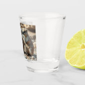 Verre A Shot Deux Quokkas Aussie Rottnest IsLand, (Droite)