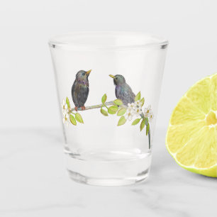 Verre A Shot Deux Starlings dans une succursale florissante au