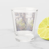 Verre A Shot Dimensions de curiosité (Dos)