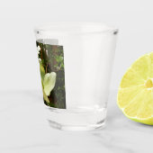 Verre A Shot Dogwoods et Redwoods (Droite)