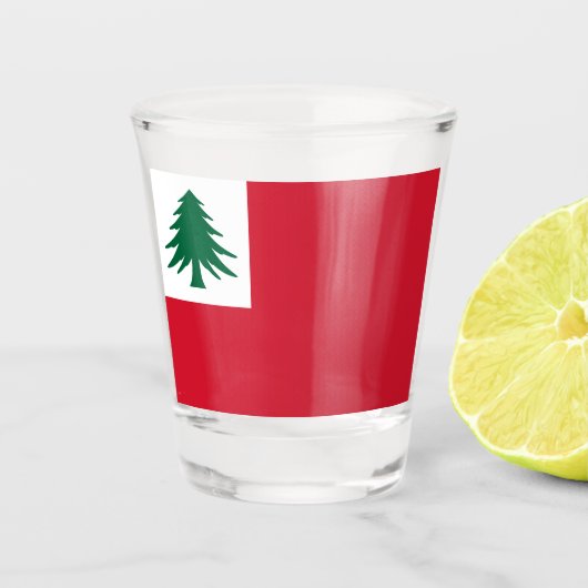 Verre A Shot Drapeau de la Nouvelle-Angleterre (Devant)