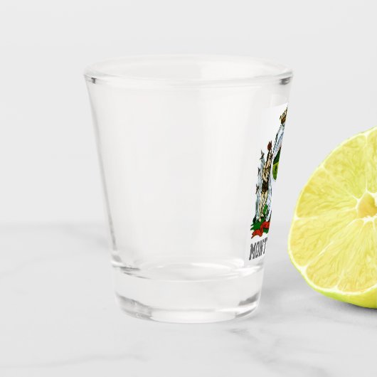 Verre A Shot Drapeau de Monterrey, Nuevo León - MEXICO (Gauche)