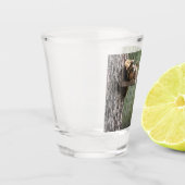 Verre A Shot Écureuil (Gauche)