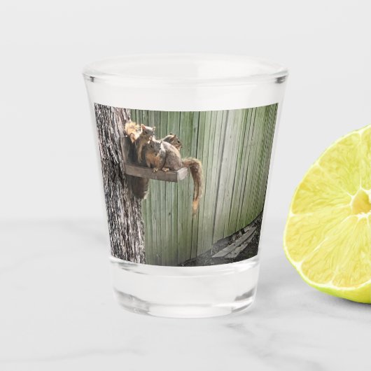 Verre A Shot Écureuil (Devant)