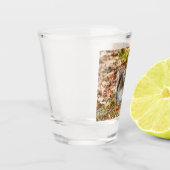 Verre A Shot Écureuil affamé (Gauche)