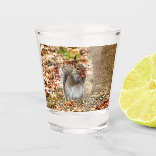 Verre A Shot Écureuil affamé (Devant)