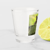 Verre A Shot Écureuil relaxant (Gauche)