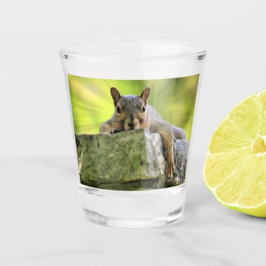 Verre A Shot Écureuil relaxant (Devant)