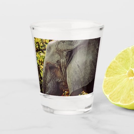 Verre A Shot Eléphant Majestic (Devant)