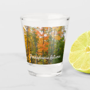 Verre A Shot Érables en automne Photographie de la nature