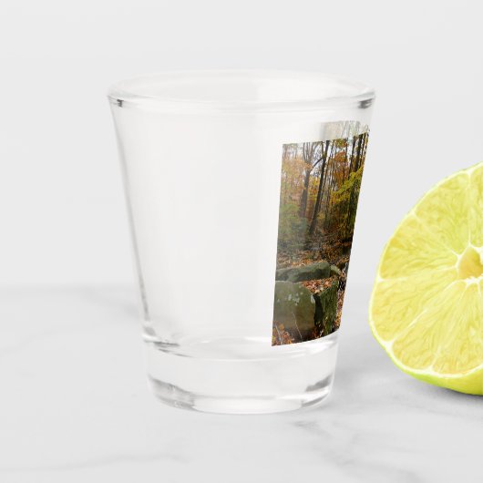 Verre A Shot Fall Creek avec réflexion à Laurel Hill Park (Gauche)