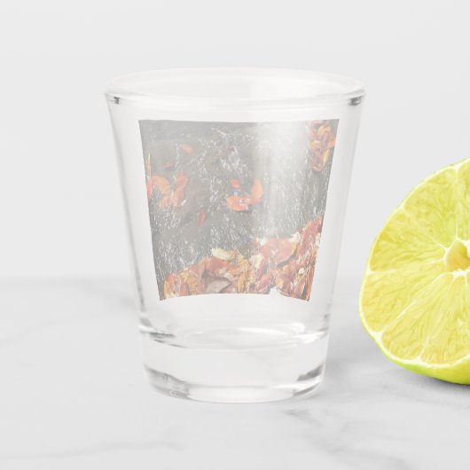 Verre A Shot Feuilles d'automne dans la cascade I Photographie  (Dos)