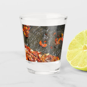Verre A Shot Feuilles d'automne dans la cascade I Photographie 