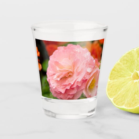 Verre A Shot Fleur rose délicate après la pluie (Devant)