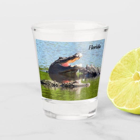 Verre A Shot Florida Party Gator Shot Glass (Facilement Persona (Devant)