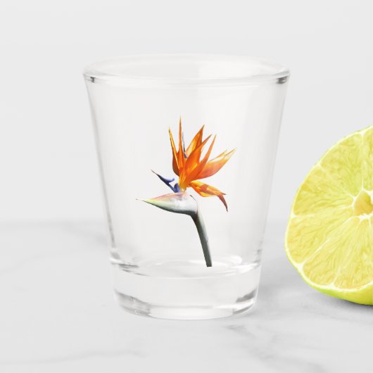 Verre A Shot Flower tropical orange paradise (Devant)