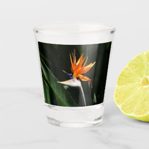 Verre A Shot Flower tropical orange paradise