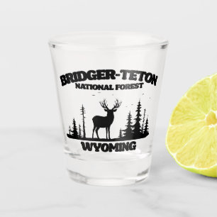 Verre A Shot Forêt nationale de Bridger-Teton