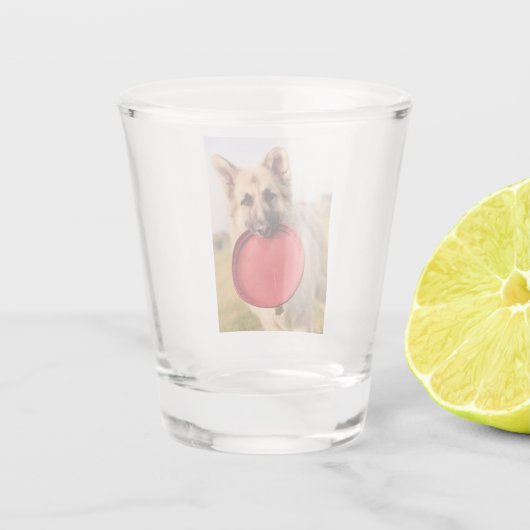 Verre A Shot Frisbee (Dos)