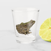 Verre A Shot Frog (Devant)