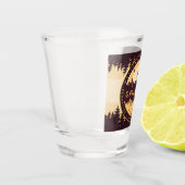 Verre A Shot Gatlinburg Tennessee Ours Pins Nature (Gauche)