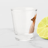 Verre A Shot Glass souriant Corgi mème (Gauche)