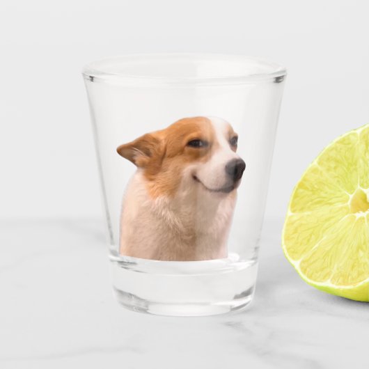 Verre A Shot Glass souriant Corgi mème (Devant)