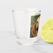 Verre A Shot Golden Retriever (Gauche)