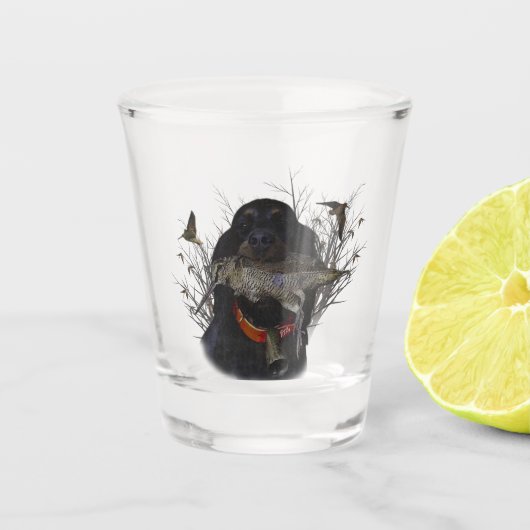 Verre A Shot Gordon Setter (Devant)