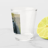 Verre A Shot Gorille du Blackback Regal (Droite)