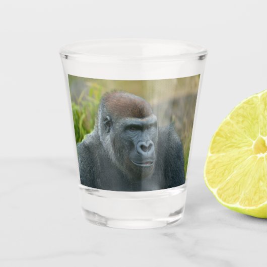 Verre A Shot Gorille du Blackback Regal (Devant)