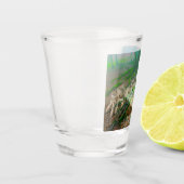 Verre A Shot Grenouille (Gauche)