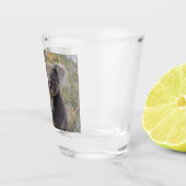 Verre A Shot Grevillea Koala Bear, (Droite)