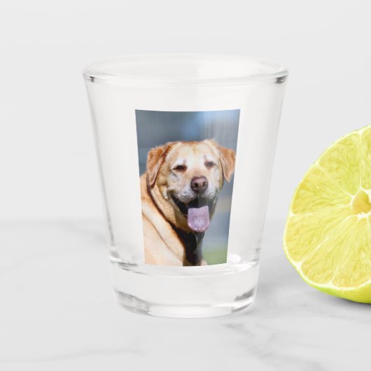 Verre A Shot Grin (Devant)