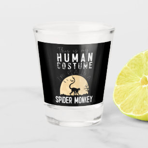 Verre A Shot Halloween Spider Monkey Horreur Déplaisante