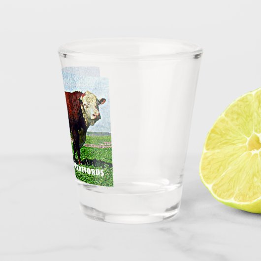 Verre A Shot Hereford Taureau (Droite)
