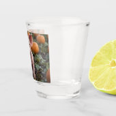 Verre A Shot Heureux Comme Un Cochon Bébé Dans Un Patch Citroui (Droite)