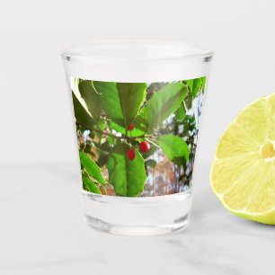 Verre A Shot Holly Feuilles II Vacances Nature Botanique