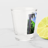 Verre A Shot Île de Vanuatu (Gauche)