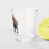 Verre A Shot Illustration de bison (Droite)