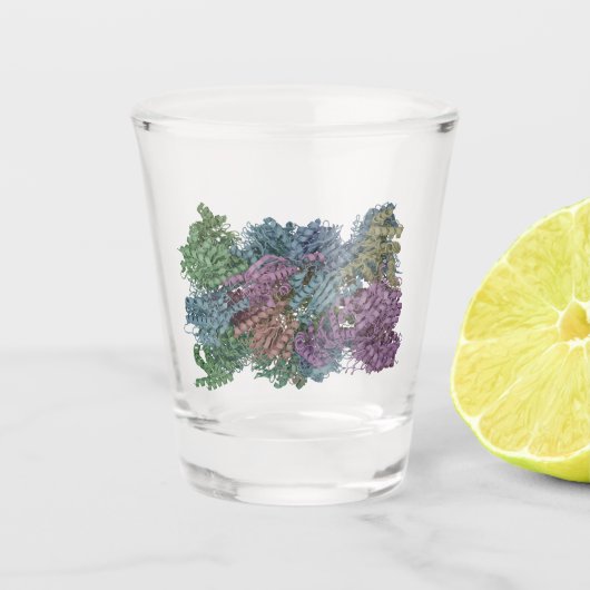 Verre A Shot Illustration de molécule (Devant)