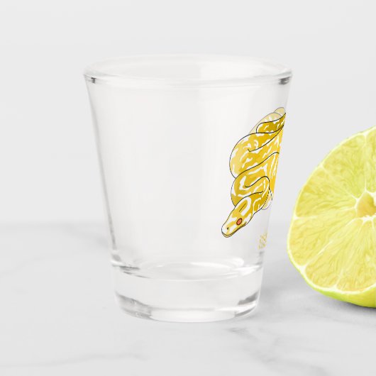 Verre A Shot Illustration du serpent python birman (Gauche)