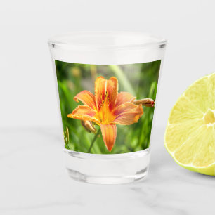 Verre A Shot Jolie grande fleur Lily photo