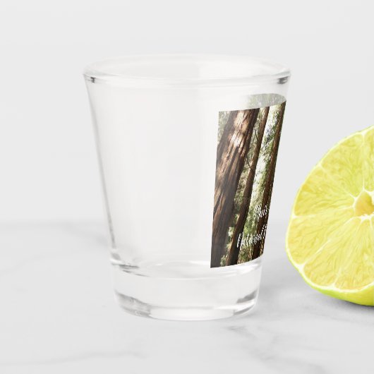 Verre A Shot Jusqu'à Redwoods II au monument national de Muir W (Gauche)