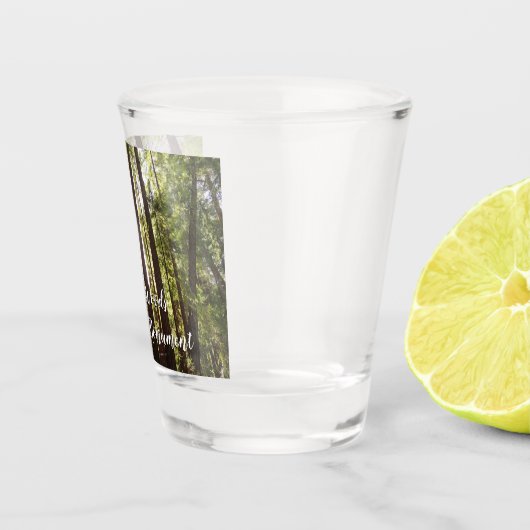 Verre A Shot Jusqu'aux séquoias du matin (Droite)