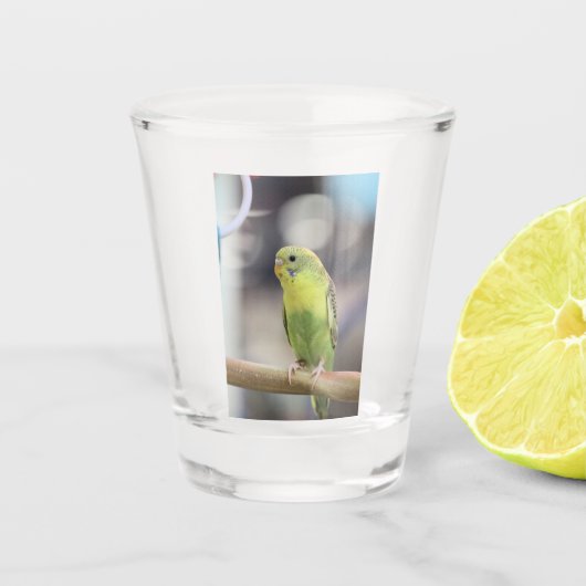 Verre A Shot Kiwi Burbell (Devant)