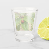 Verre A Shot Ladybug Chanceuse (Dos)