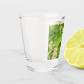 Verre A Shot Ladybug Chanceuse (Gauche)