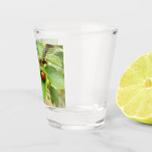Verre A Shot Ladybug Chanceuse (Droite)